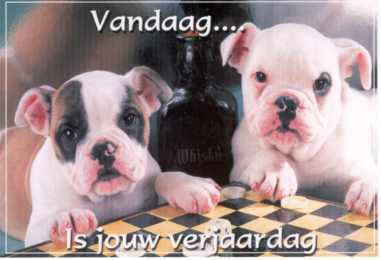1875 dieren..jpg
