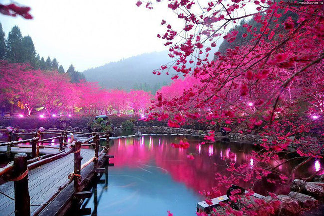 cherrylake.jpg